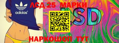 гидропоника Кунгур