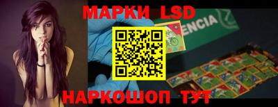 гидропоника Кунгур