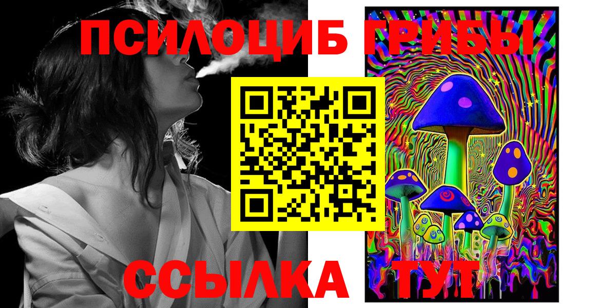 закладки  Вход с VPN  Усть-Илимск  Псилоцибиновые грибы Psilocybe  Псилоцибиновые грибы мухоморы 